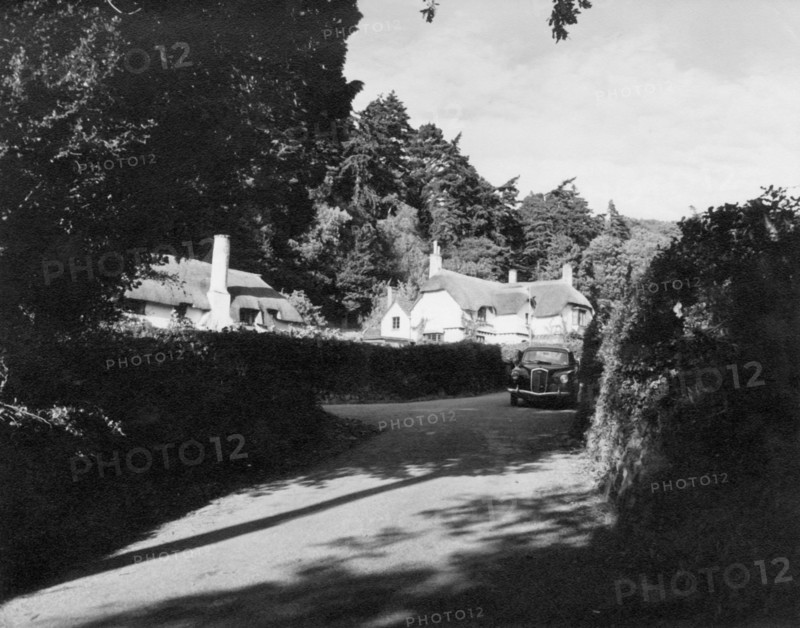 Selworthy, Exmoor, c1955. Creator: Arthur Charles Kirby Ware.