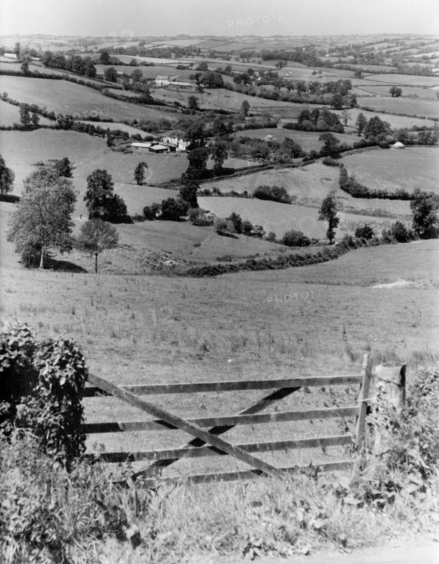 Landscape near Cadbury, Somerset, c1955.  Creator: Arthur Charles Kirby Ware.