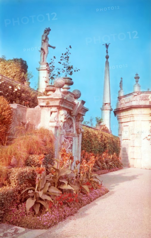Gardens of the Palazzo Borromeo, Isola Bella, Lago Maggiore, Italy, c1955.  Creator: Arthur Charles Kirby Ware.