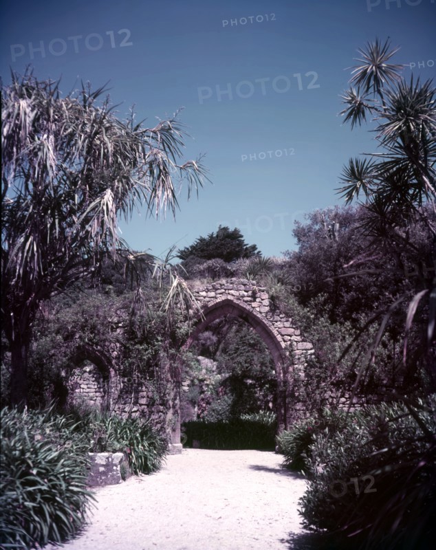 Abbey ruins in Tresco gardens, Scilly Isles, c1955. Creator: Arthur Charles Kirby Ware.