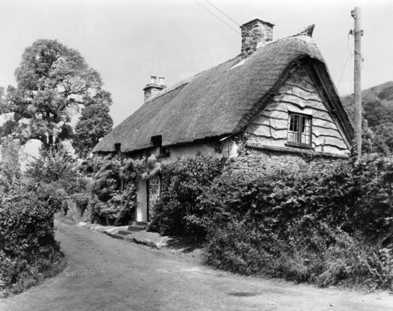 Bossington, Somerset, c1955. Creator: Arthur Charles Kirby Ware.