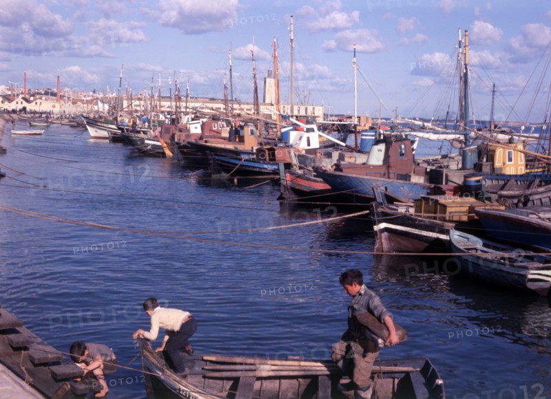 Harbour, Setúbal, Lisbon, Portugal, c1955.  Creator: Arthur Charles Kirby Ware.
