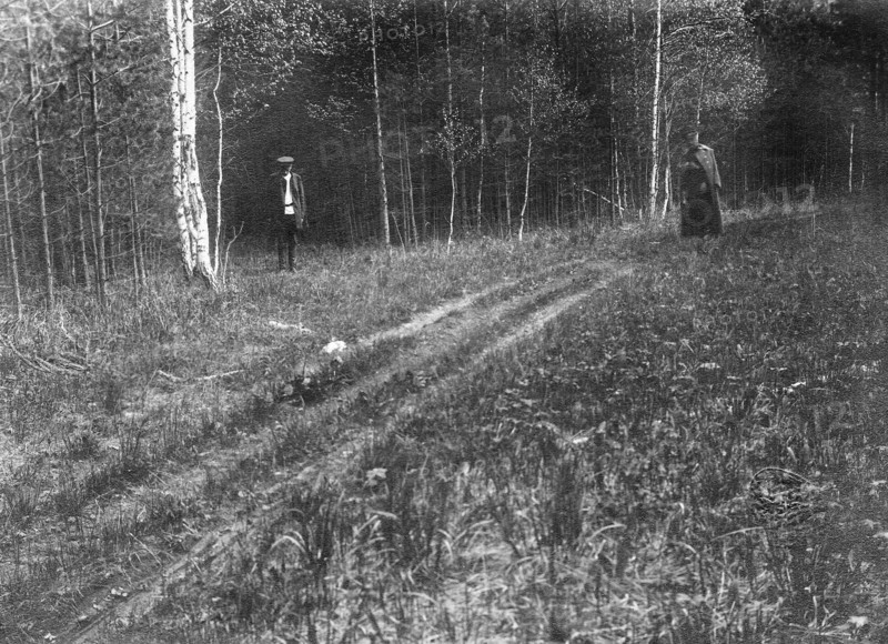 L'enquête en 1920 sur le massacre de la famille impériale à Ekaterinbourg. Mars 1917, c'est à Tsarskoié-Sélo que les Romanov passent captifs, les 5 mois qui suivent la révolution. Au mois d'août 1917, les Romanov sont transférés à Tobolsk. Avril 1918, après l'arrivée au pouvoir des bolcheviks, les Romanov sont de nouveau transférés de Tobolsk à Ekaterinenbourg. Dans la nuit du 16 au 17 juillet 1918 la famille Romanov est massacrée par les bolchevicks, dans la maison Ipatief.