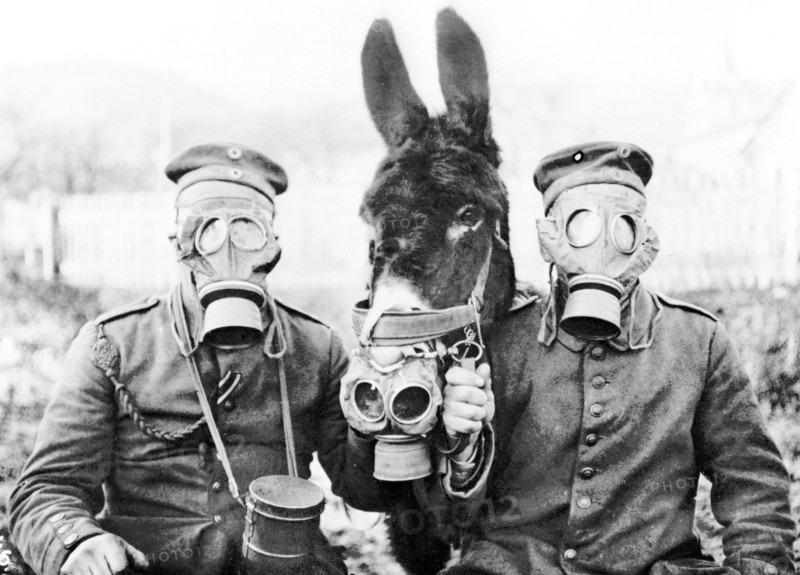 L'utilisation des gaz pendant la Première Guerre Mondiale - 
Les masques transforment les hommes et bêtes en animaux d'apocalypse
Deux soldats et un âne équipés de masques à gaz