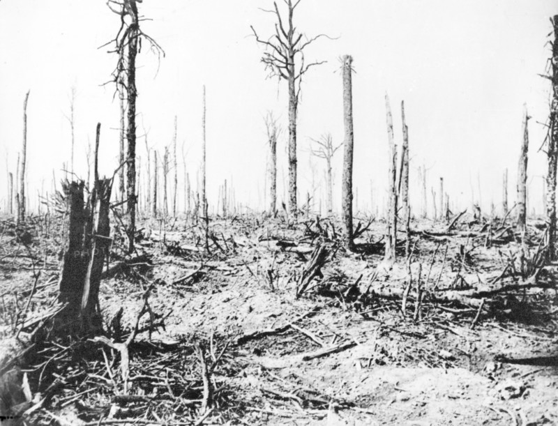 The Battle of the Somme, 1916