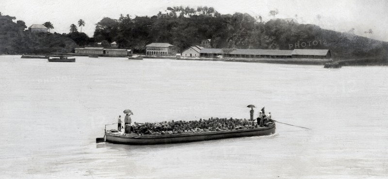 Police et justice en France au XX siècle. Les bagnes, les prisons. Quelques semaines chez les forçats, les bagnes en Guyane en 1908, aux Iles du Salut.
Chaland transportant les forçats du bateau "La Loire" à l'île Saint-Joseph. Au fond, l'île Royale.