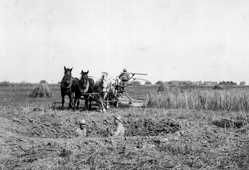 Battle of the Somme, 1916