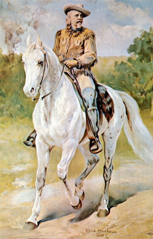 Buffalo Bill by Rosa Bonheur - Postcard