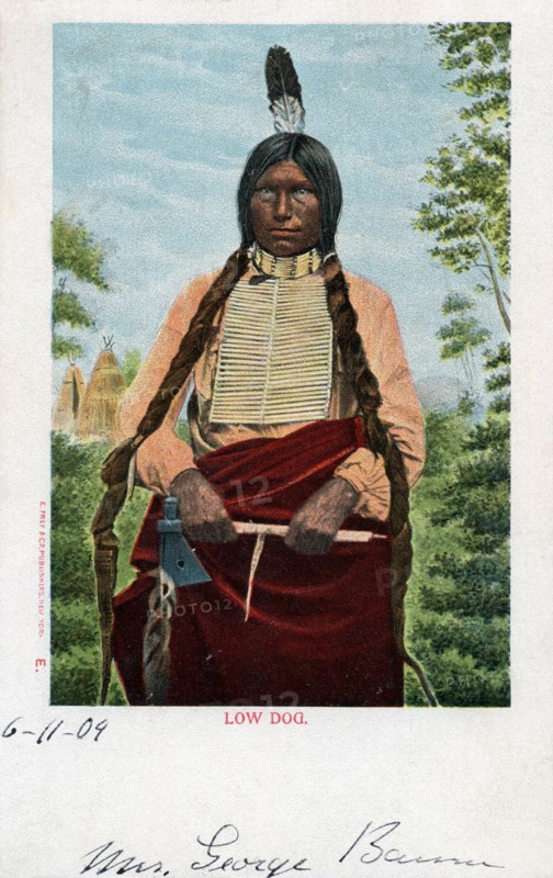 Postcard representing Indian woman " Low Dog"