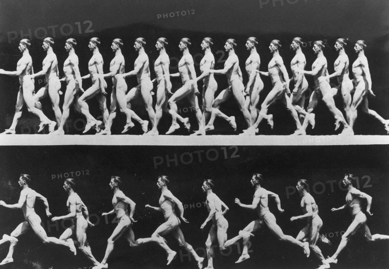 Photos taken with a photographic gun for chronophotography