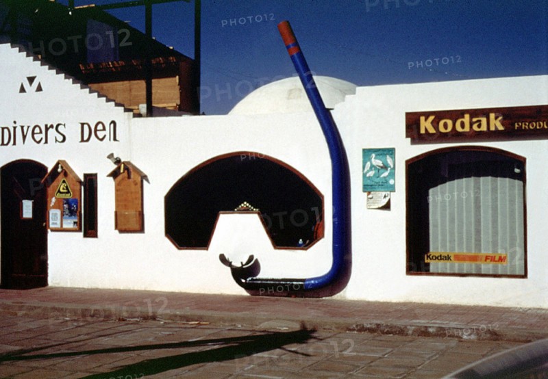 Diving Club in California