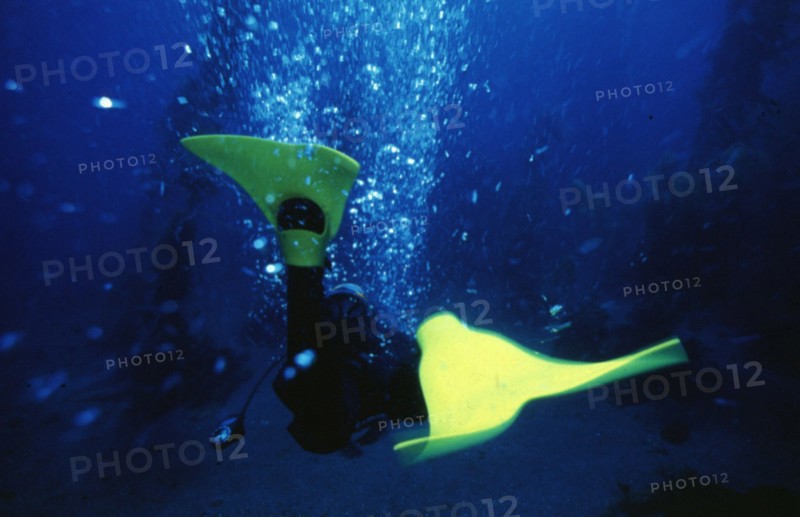 Force Fins