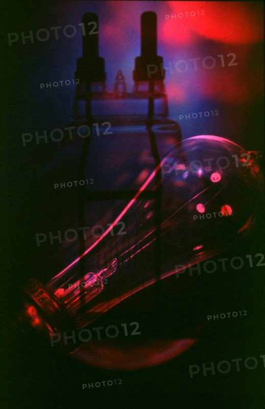 Bulb