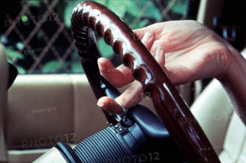 Steering Wheel Lock
