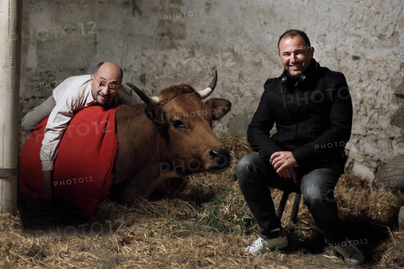 La Vache