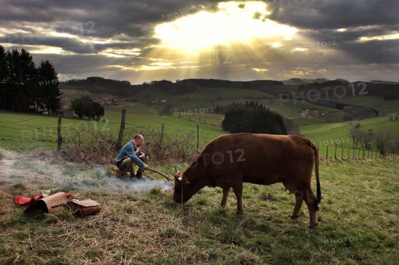 La Vache