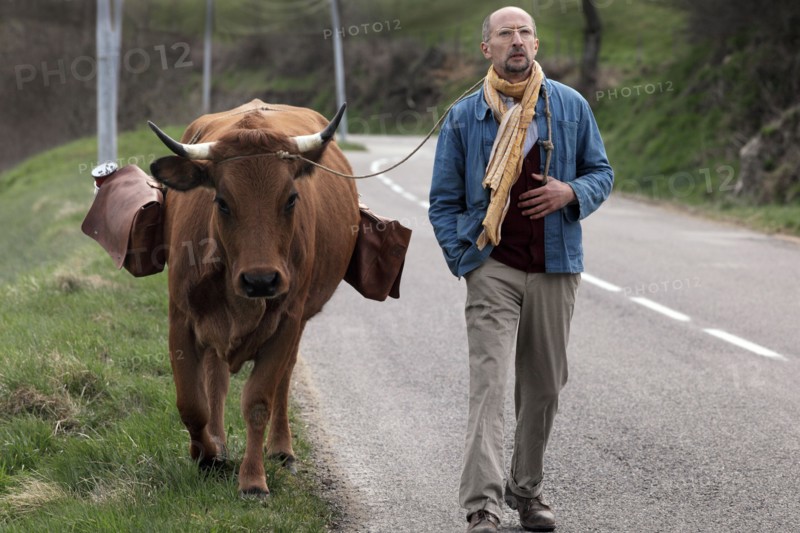 La Vache