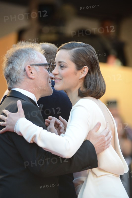 Marion Cotillard, Festival de Cannes 2013