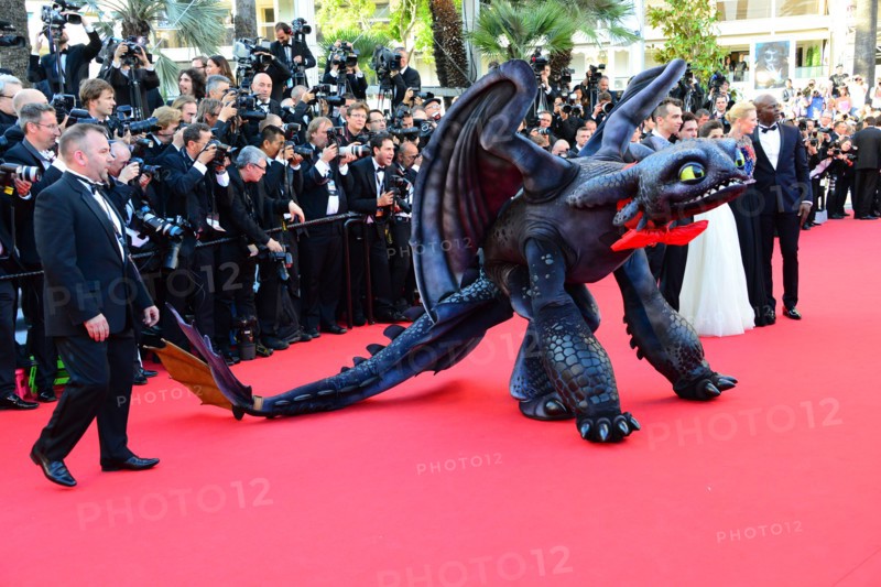 Equipe du film "Dragons 2", Festival de Cannes 2014