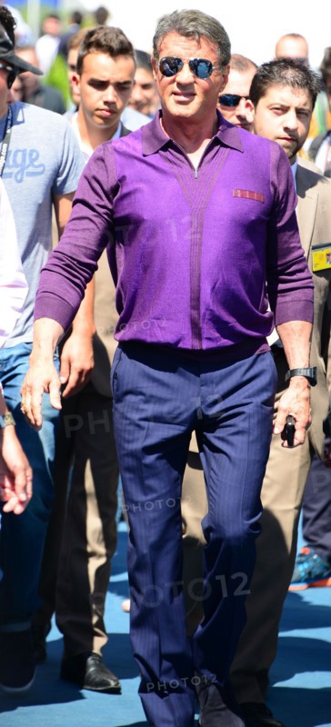 Sylvester Stallone, Festival de Cannes 2014