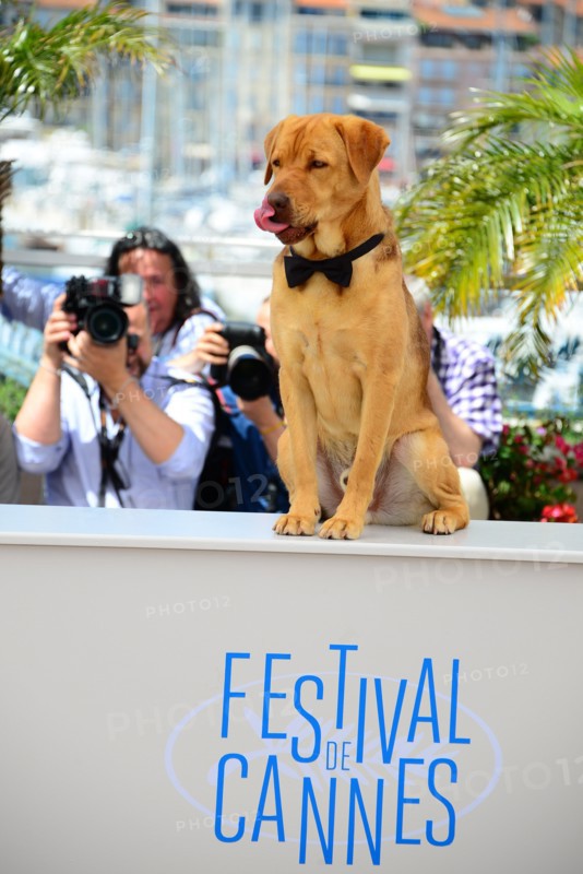 Equipe du film "Feher Isten", Festival de Cannes 2014