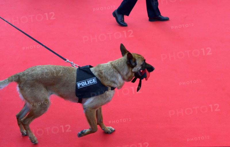 2021 Cannes Film Festival: opening ceremony