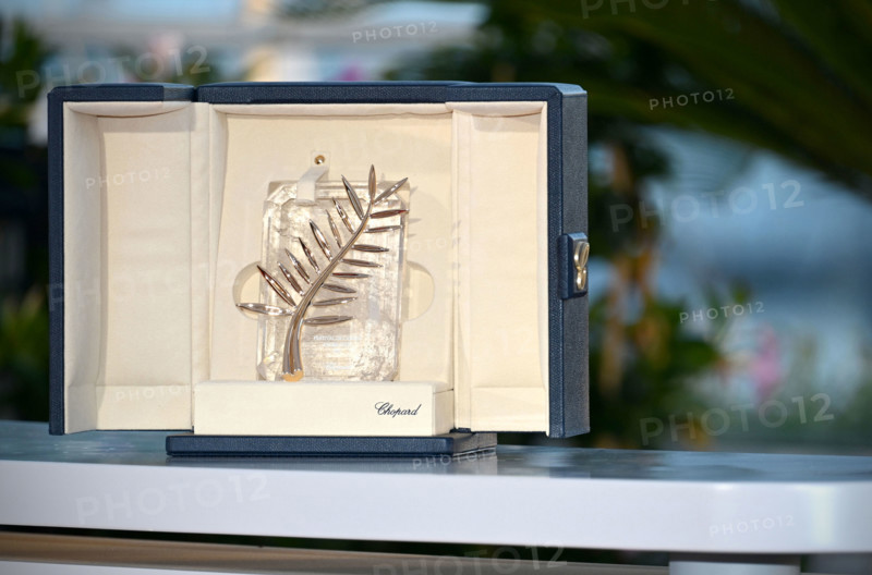 Box containing the Palme d'Or