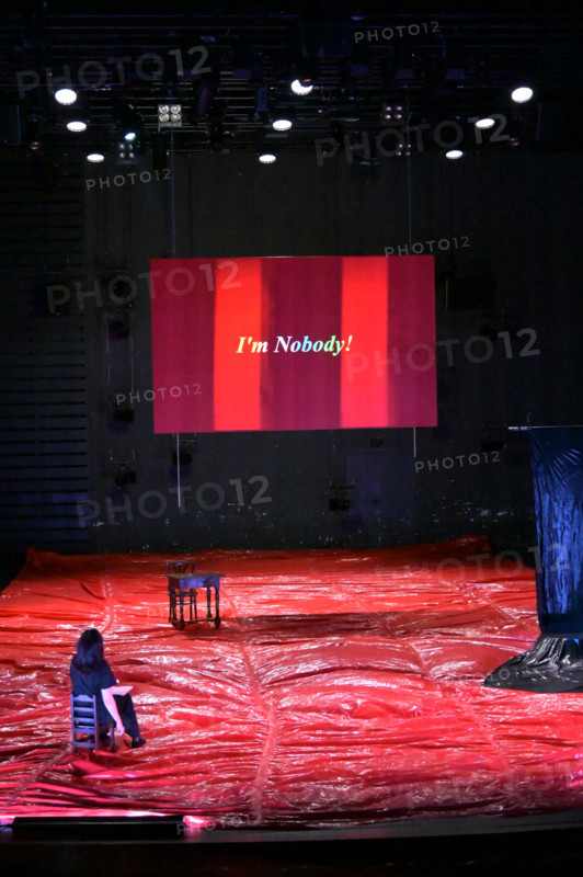 Festival d'Avignon IN 2026: "Uma Luz Cordial"