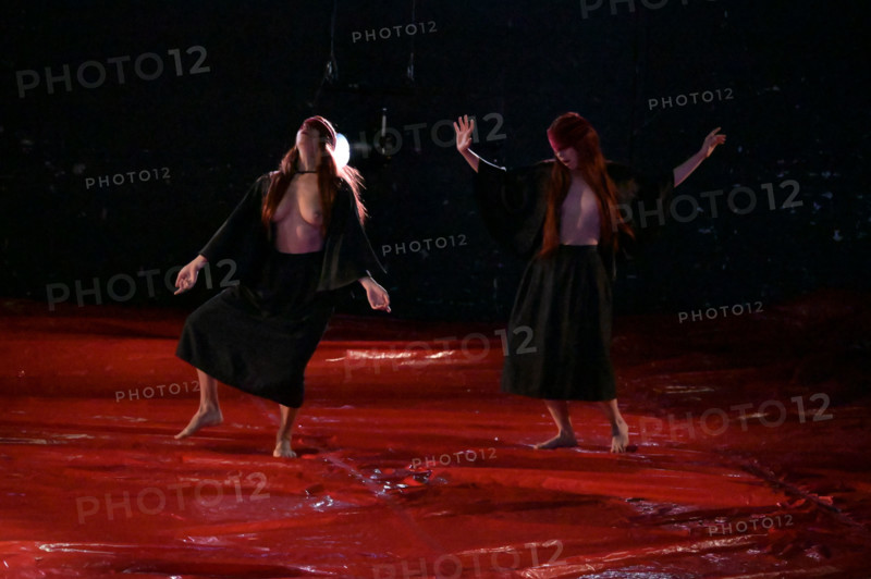 Festival d'Avignon IN 2026 : "Uma Luz Cordial"