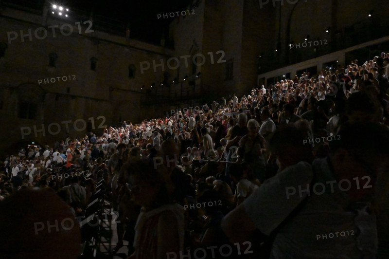 Festival d'Avignon IN 2026 : "Oiseau"