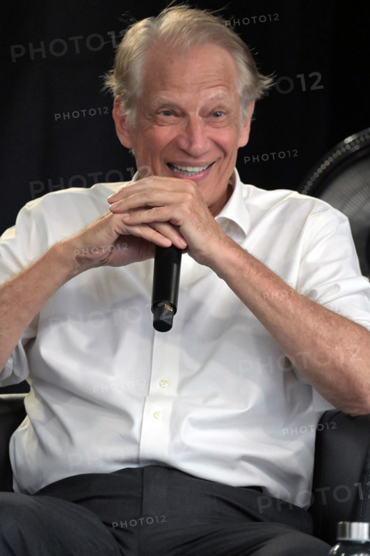 Dominique de Villepin