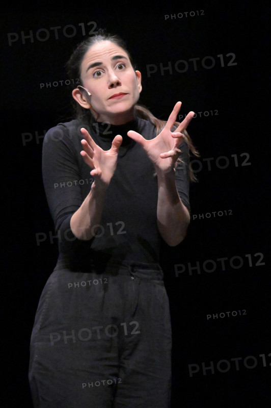 Festival d'Avignon IN 2026: 'Casting Lear'