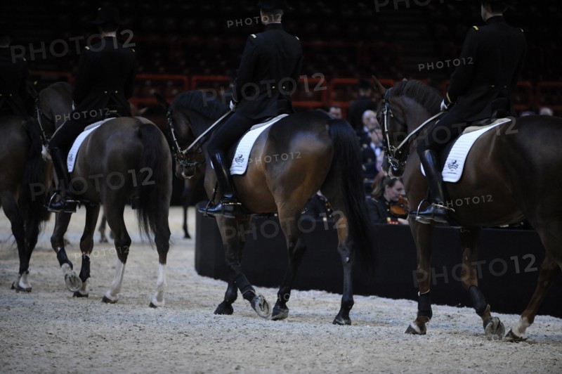 Cadre Noir de Saumur, représentation à Paris