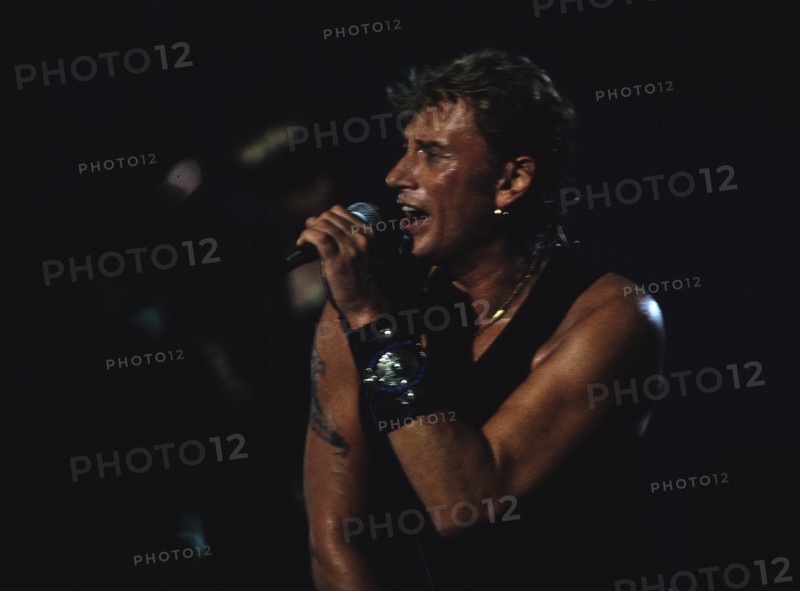 Johnny Hallyday en concert