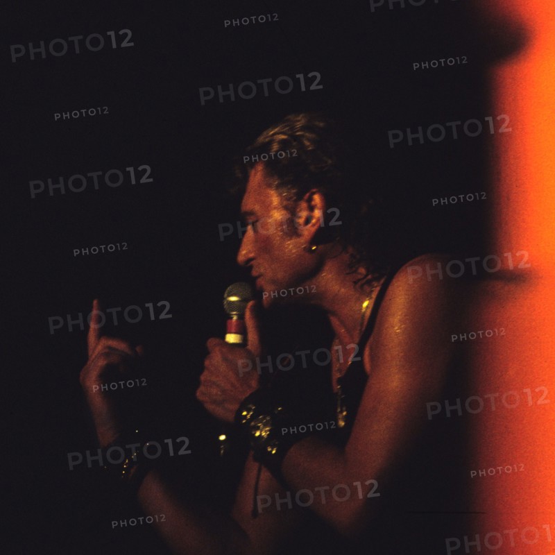 Johnny Hallyday en concert