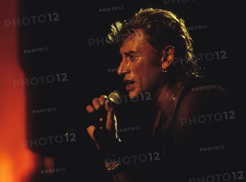 Johnny Hallyday en concert