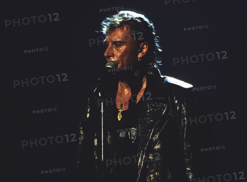 Johnny Hallyday en concert