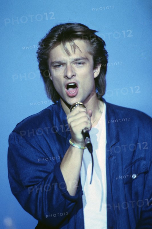 David Hallyday