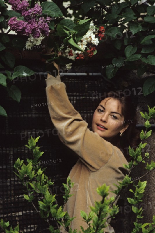 Yolande Folliot, 1981