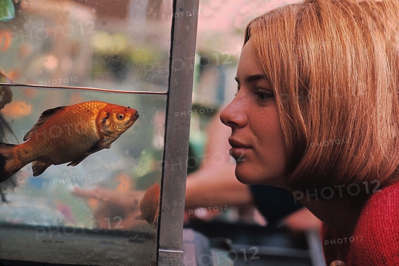 France Gall