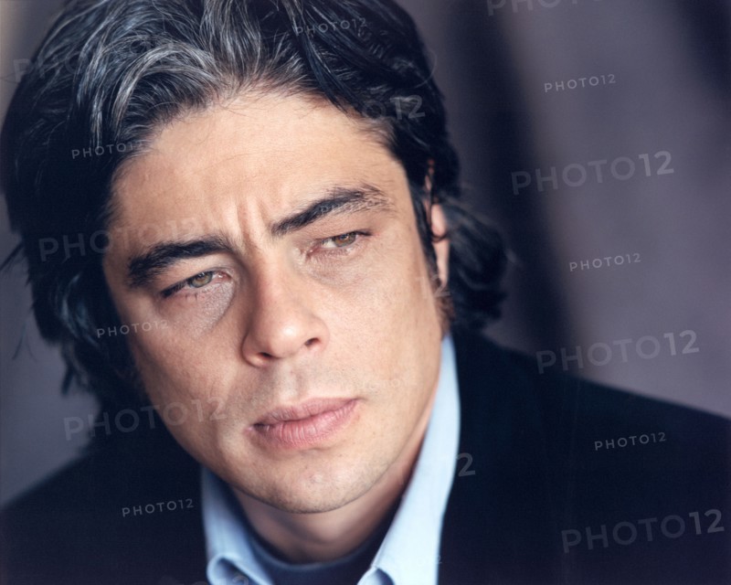 Benicio Del Toro