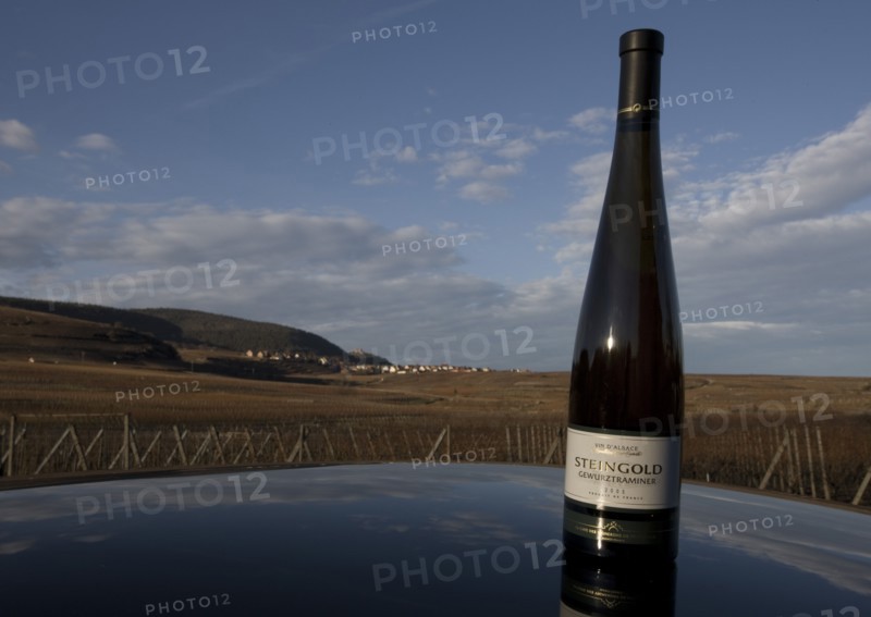 Vin de la Cave coopérative de Pfaffenheim (Alsace)