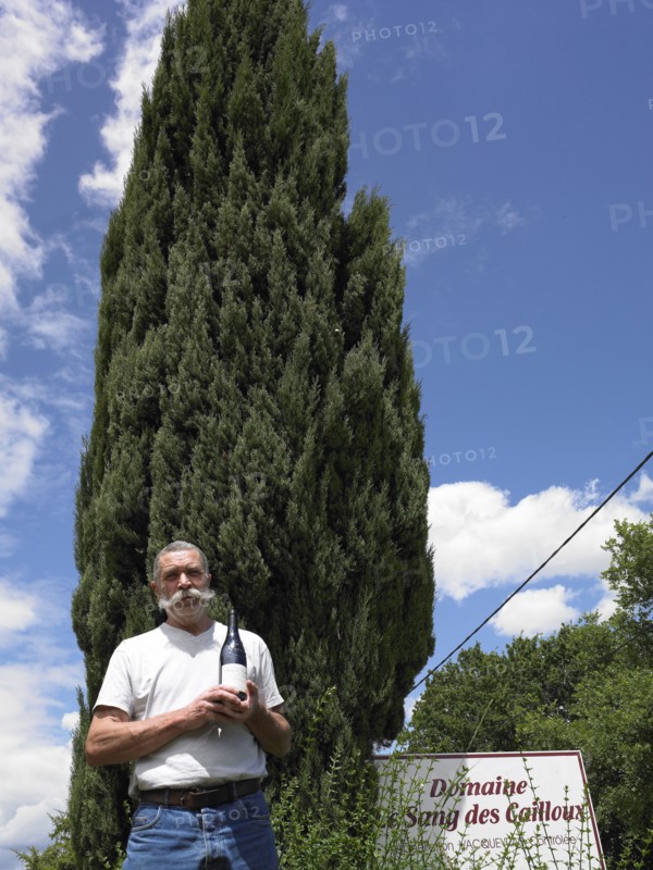 Serge Ferrigoule