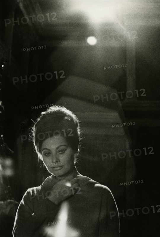 Sophia Loren