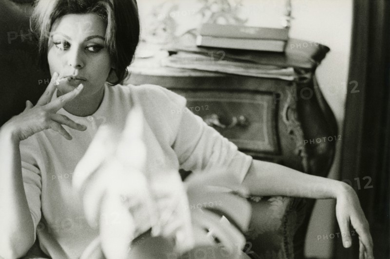 Sophia Loren