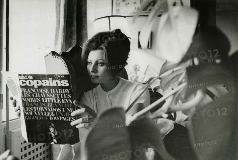 Sophia Loren