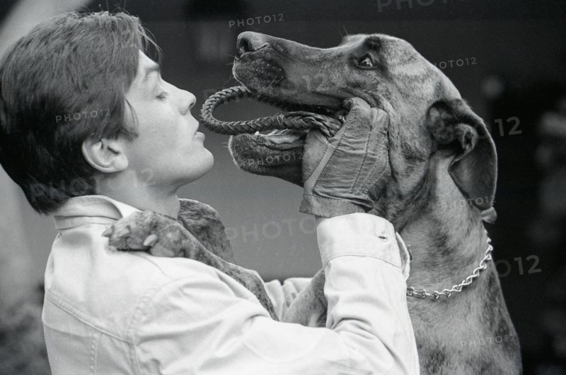 Alain Delon jouant avec son chien