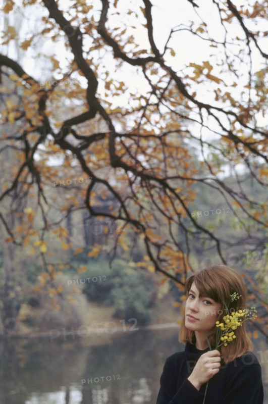 Françoise Hardy, 1963