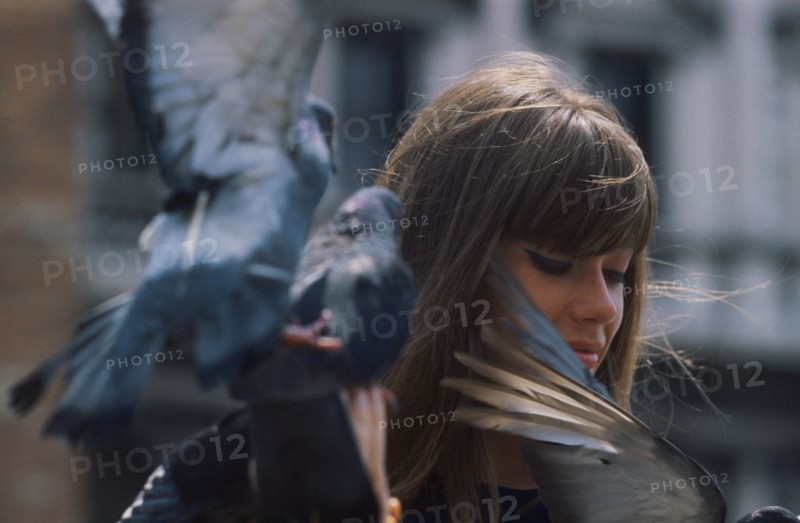 Françoise Hardy, 1963