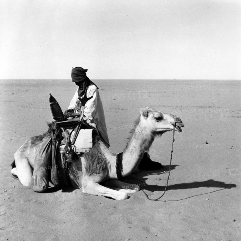 Touareg au Sahara, dans le massif du Hoggar
